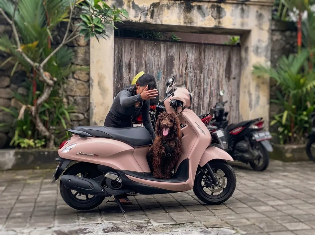 Happy trained dog after a session with DogCareBali in South Bali